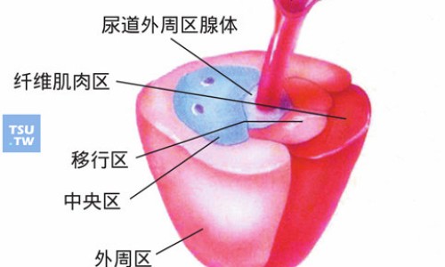 孕妇脸上长红色斑点专区_怀孕脸上红斑是怎么回事专区_孕妇脸部大片红斑网