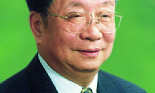 哺乳期能吃酵素梅吗?